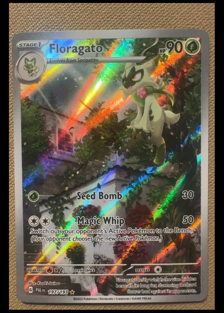 Floragato
